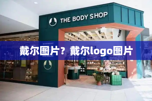 戴尔图片？戴尔logo图片-第1张图片-星选测评