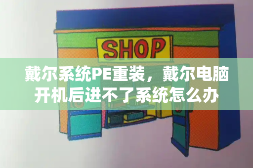 戴尔系统PE重装，戴尔电脑开机后进不了系统怎么办