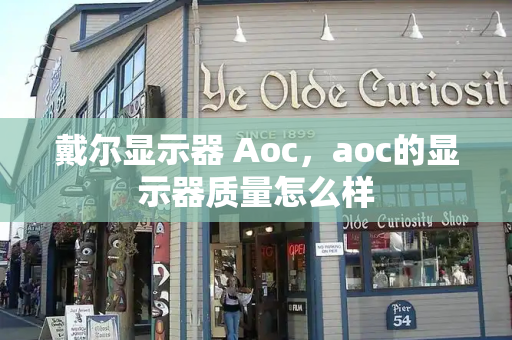 戴尔显示器 Aoc，aoc的显示器质量怎么样-第1张图片-星选测评