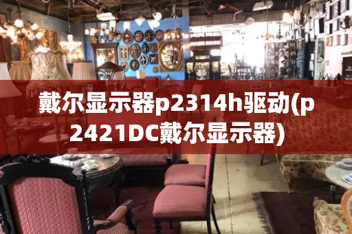 戴尔显示器p2314h驱动(p2421DC戴尔显示器)-第1张图片-星选测评