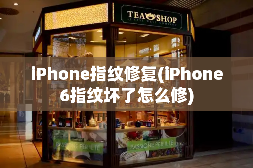 iPhone指纹修复(iPhone6指纹坏了怎么修)