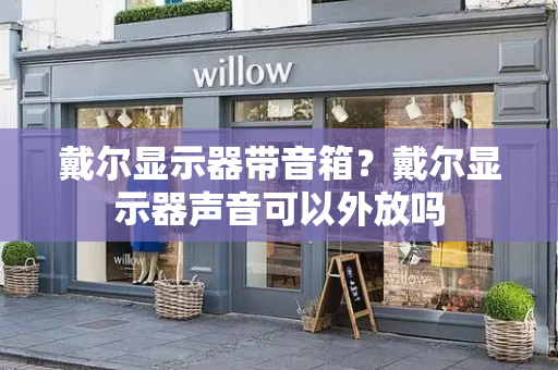 戴尔显示器带音箱？戴尔显示器声音可以外放吗-第1张图片-星选测评