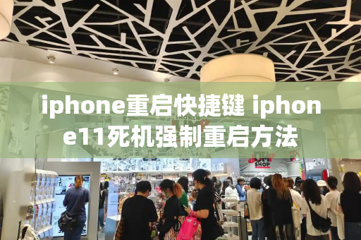 iphone重启快捷键 iphone11死机强制重启方法-第1张图片-星选测评