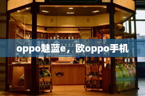 oppo魅蓝e，欧oppo手机-第1张图片-星选测评