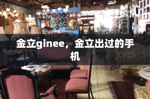 金立ginee，金立出过的手机-第1张图片-星选值得买