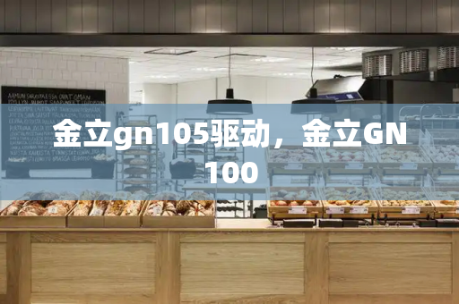 金立gn105驱动，金立GN100