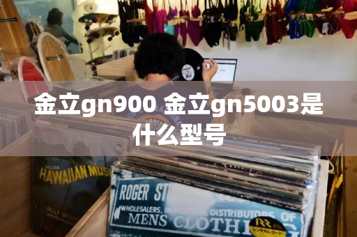 金立gn900 金立gn5003是什么型号