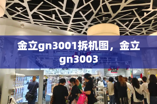 金立gn3001拆机图，金立gn3003