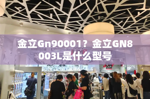 金立Gn90001？金立GN8003L是什么型号