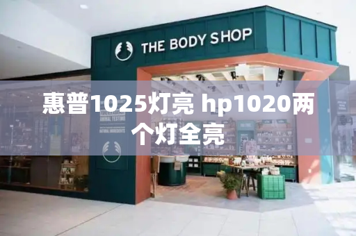 惠普1025灯亮 hp1020两个灯全亮-第1张图片-星选测评