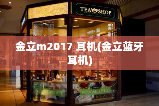 金立m2017 耳机(金立蓝牙耳机)