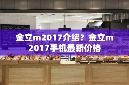 金立m2017介绍？金立m2017手机最新价格