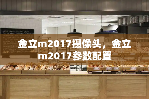 金立m2017摄像头，金立m2017参数配置