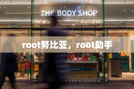 root努比亚，root助手