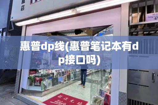 惠普dp线(惠普笔记本有dp接口吗)