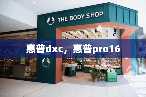 惠普dxc，惠普pro16