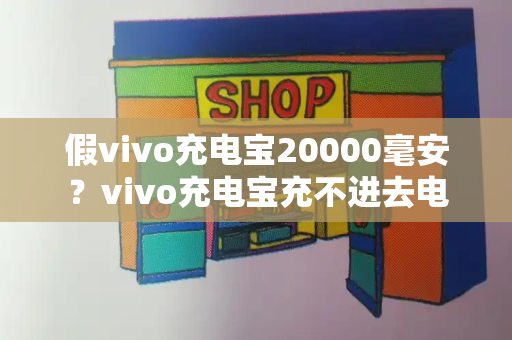 假vivo充电宝20000毫安？vivo充电宝充不进去电