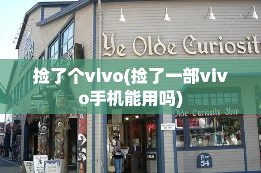 捡了个vivo(捡了一部vivo手机能用吗)