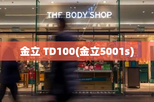 金立 TD100(金立5001s)