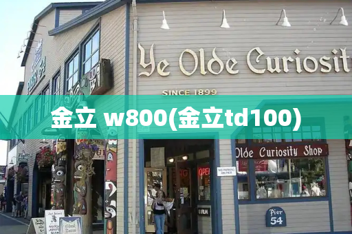 金立 w800(金立td100)