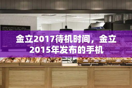 金立2017待机时间，金立2015年发布的手机