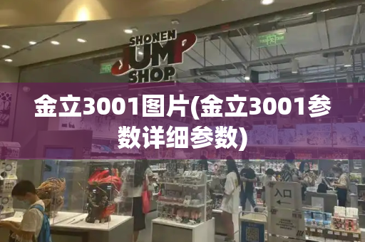 金立3001图片(金立3001参数详细参数)