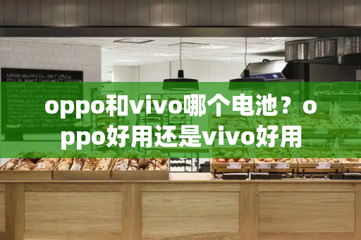 oppo和vivo哪个电池？oppo好用还是vivo好用-第1张图片-星选测评