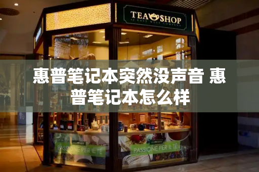 惠普笔记本突然没声音 惠普笔记本怎么样-第1张图片-星选测评