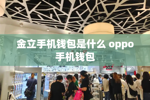 金立手机钱包是什么 oppo手机钱包