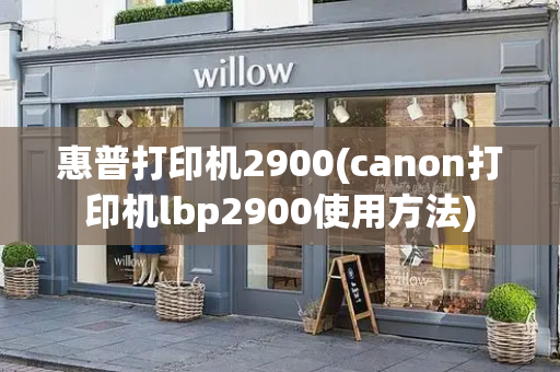 惠普打印机2900(canon打印机lbp2900使用方法)-第1张图片-星选测评