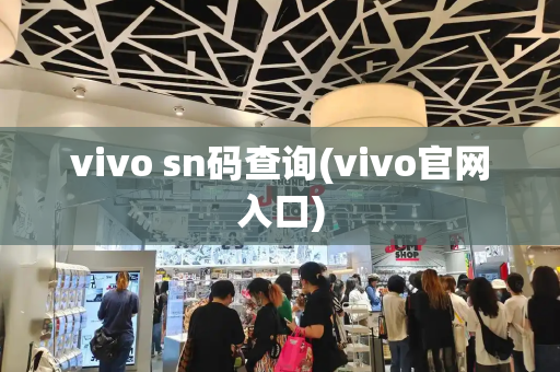 vivo sn码查询(vivo官网入口)