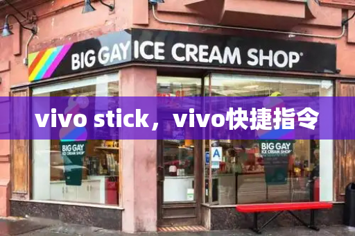 vivo stick，vivo快捷指令