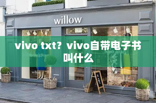 vivo txt？vivo自带电子书叫什么