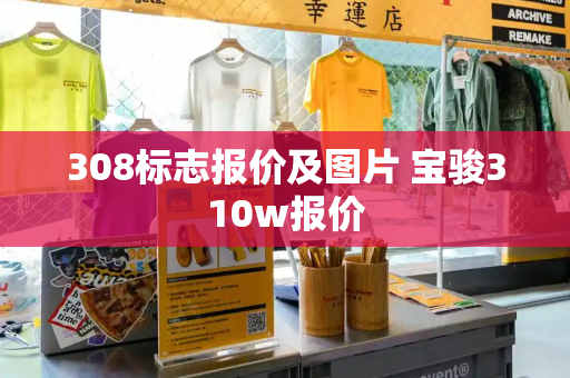 308标志报价及图片 宝骏310w报价