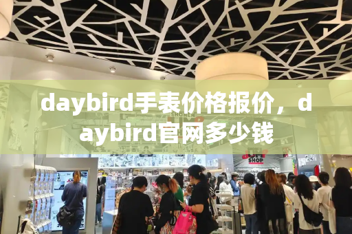 daybird手表价格报价，daybird官网多少钱