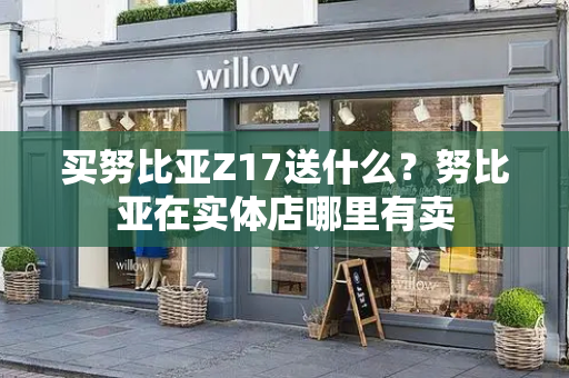 买努比亚Z17送什么？努比亚在实体店哪里有卖