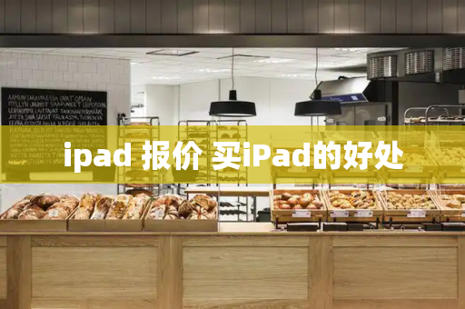 ipad 报价 买iPad的好处-第1张图片-星选测评