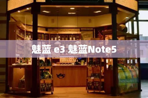 魅蓝 e3 魅蓝Note5