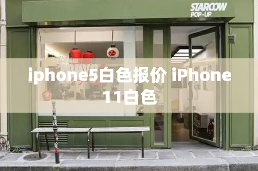 iphone5白色报价 iPhone11白色-第1张图片-星选测评