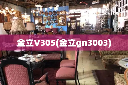 金立V305(金立gn3003)