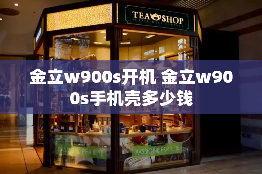 金立w900s开机 金立w900s手机壳多少钱