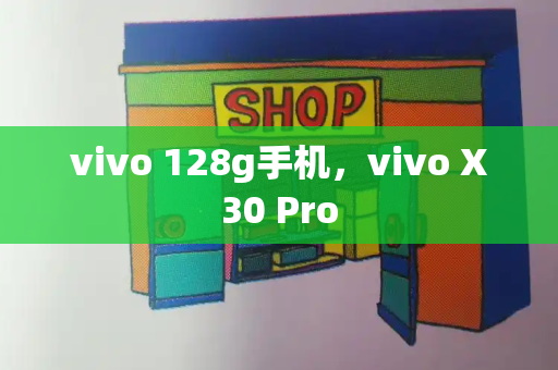 vivo 128g手机，vivo X30 Pro