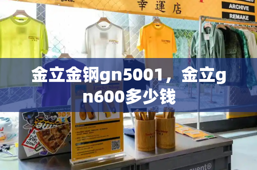 金立金钢gn5001，金立gn600多少钱