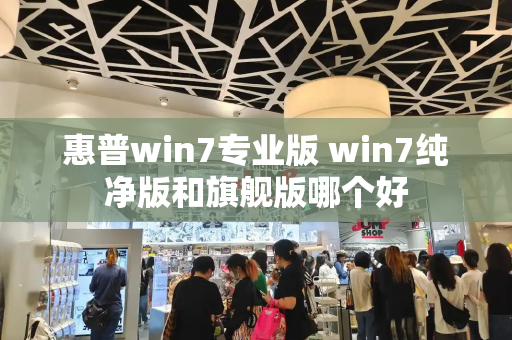 惠普win7专业版 win7纯净版和旗舰版哪个好