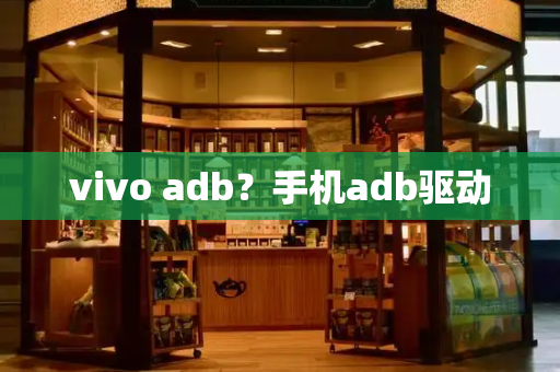 vivo adb？手机adb驱动-第1张图片-星选测评