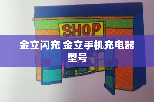 金立闪充 金立手机充电器型号