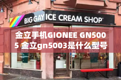 金立手机GIONEE GN5005 金立gn5003是什么型号