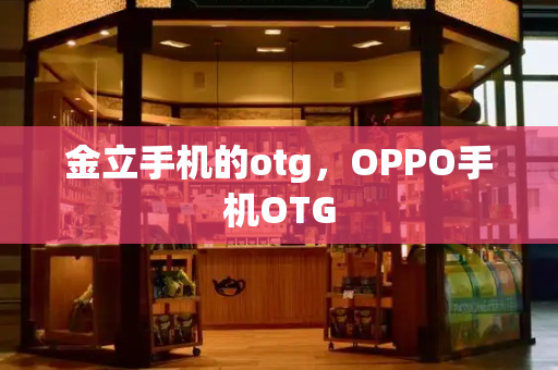 金立手机的otg，OPPO手机OTG