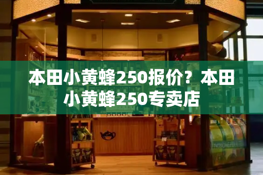 本田小黄蜂250报价？本田小黄蜂250专卖店