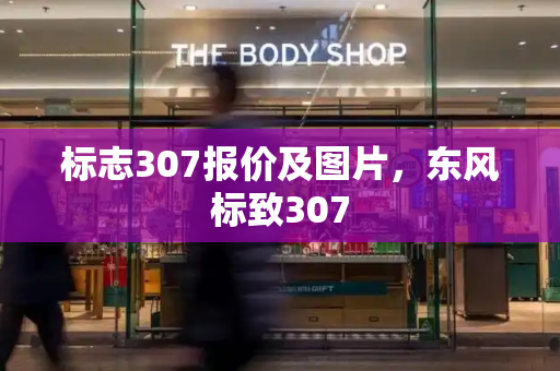 标志307报价及图片，东风标致307